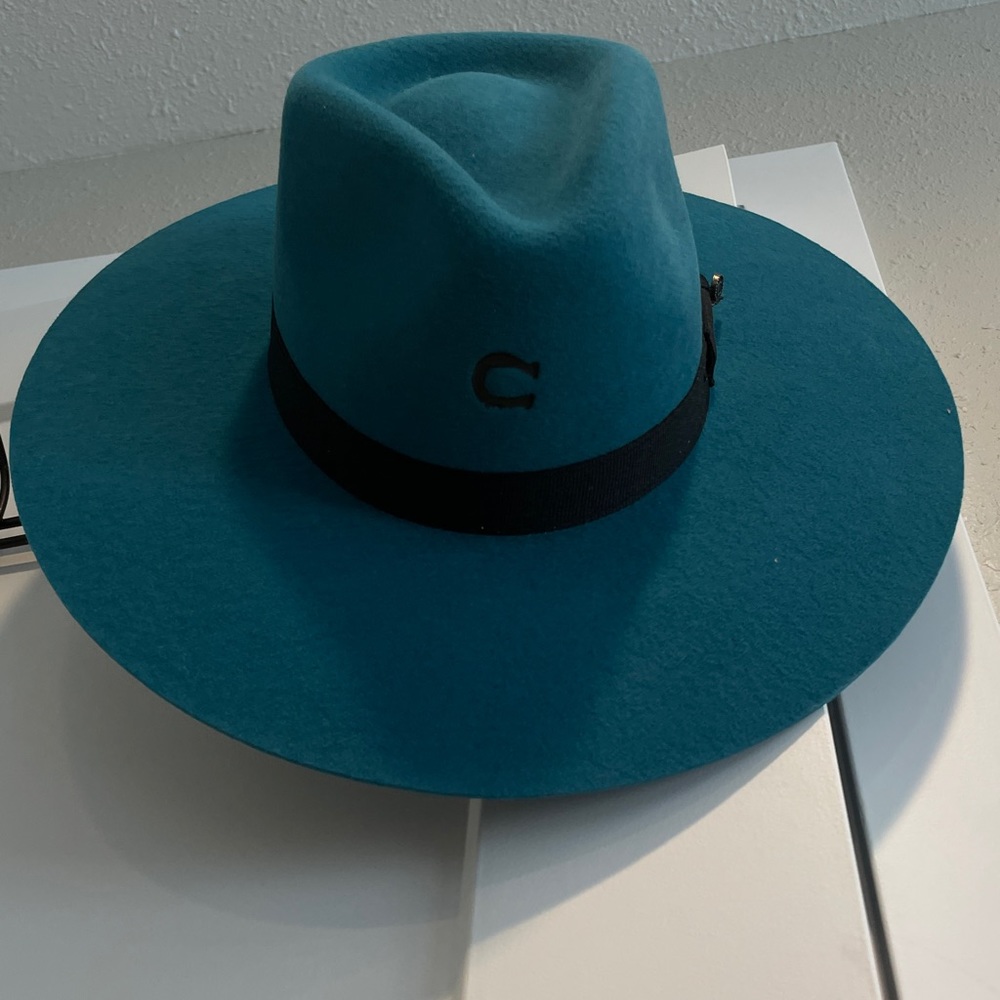 Turquoise Charlie 1 Horse